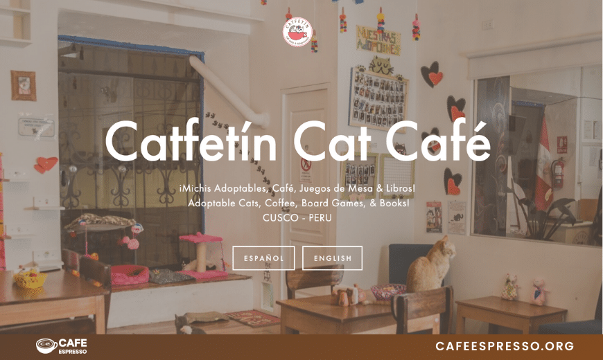 Cafeteria Catfetin Cat Café